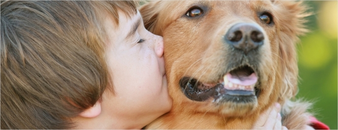 Una lección para prevenir mordeduras de perros