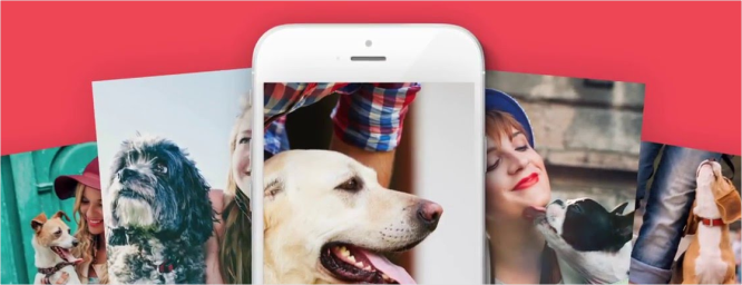 Las mejores apps para nuestros perros y gatos