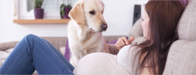 Embarazadas y mascotas: qué precauciones tomar