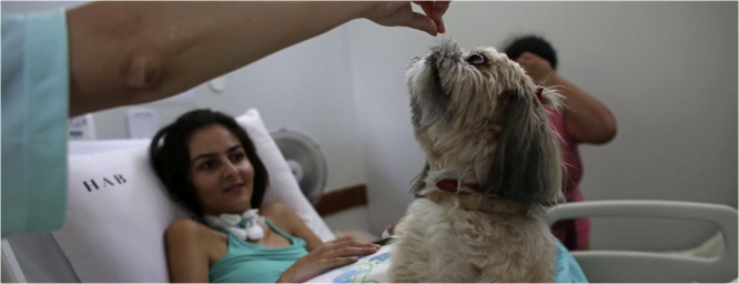 Perros ofrecen terapia en hospital brasileño