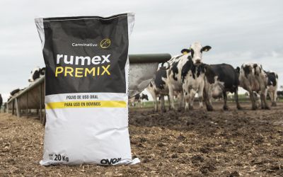 LLegó Rumex Premix